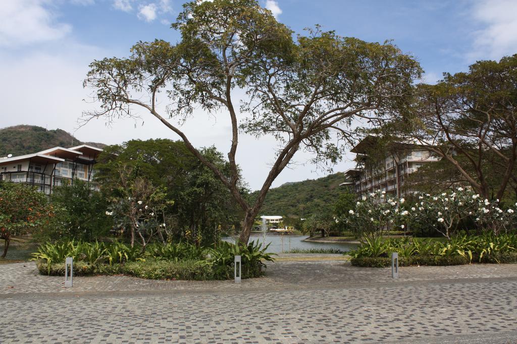 Unit 507 Pico De Loro Apartment นาซุกบู ภายนอก รูปภาพ